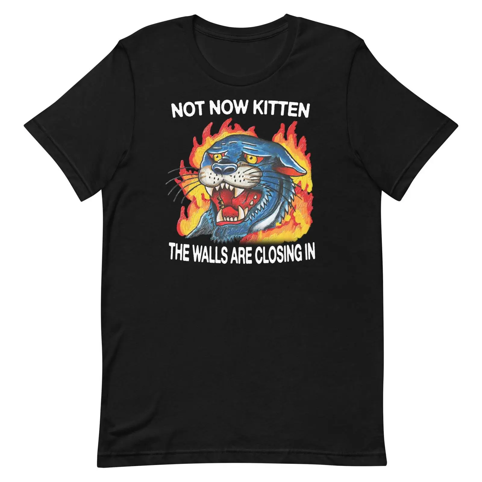 Vintage Fashion Now - Not Now Kitten Tシャツ ヴィンテージ ウォッシュド